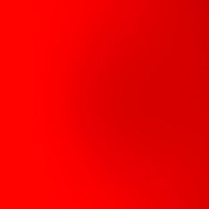 Meet your Posher, Sylvester